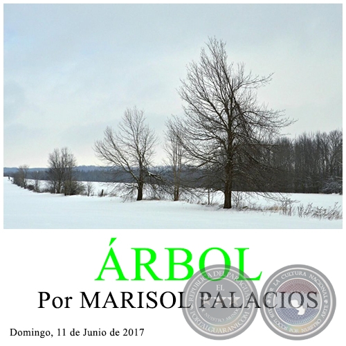 ÁRBOL - Por MARISOL PALACIOS